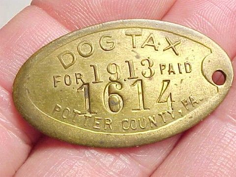 1913 Brass POTTER COUNTY Pa. DOG TAX License Tag  
